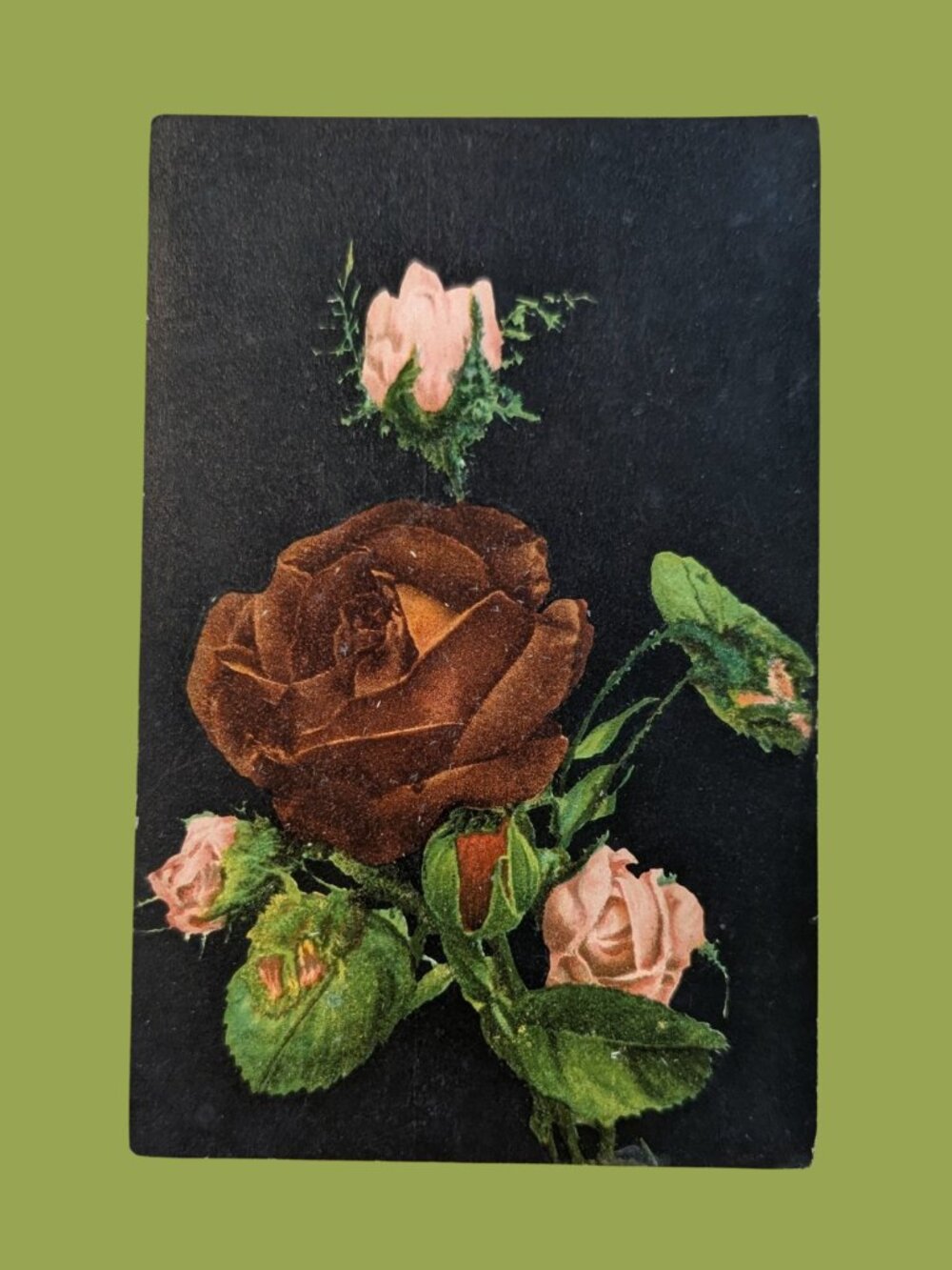 10/$25 Antique 1900s Unused Golden Age Floral Postcard German Roses